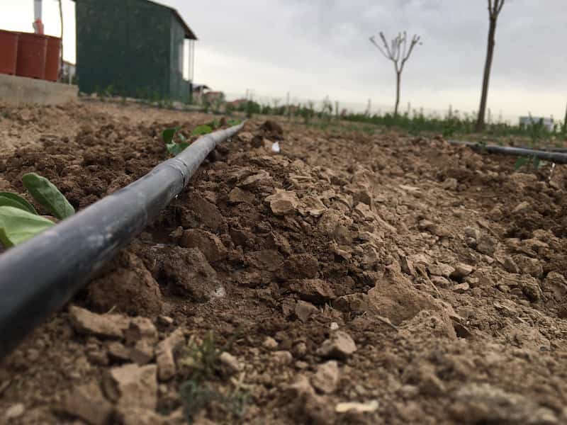 تصویر 3 از نوار آبیاری پلاک دار با عملکرد دقیق آبرسانی